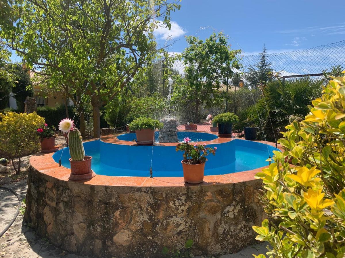 Torcales Del Lobo Rurales Apartment Pozo Alcon